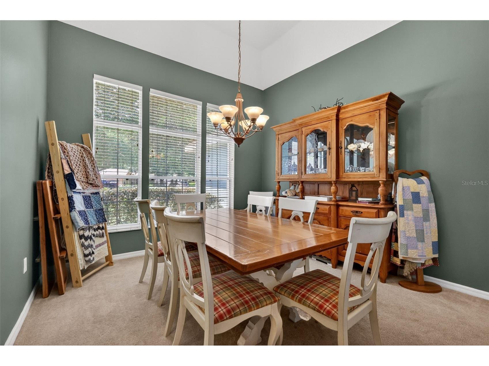 4215 Williams Street Fruitland Park FL 34731 G5113098 image9