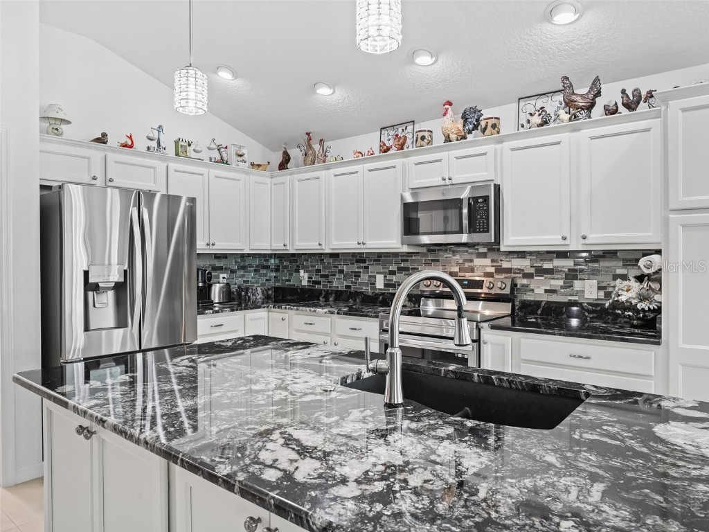 4216 Balcharan Terrace The Villages FL 32163 G5099116 image9