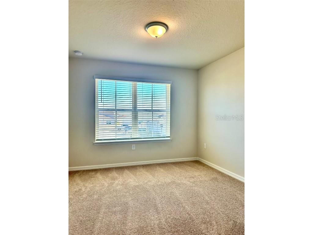 4216 Chester Springs Boulevard Davenport FL 33837 O6371942 image10