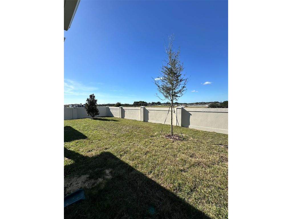 4216 Chester Springs Boulevard Davenport FL 33837 O6371942 image22