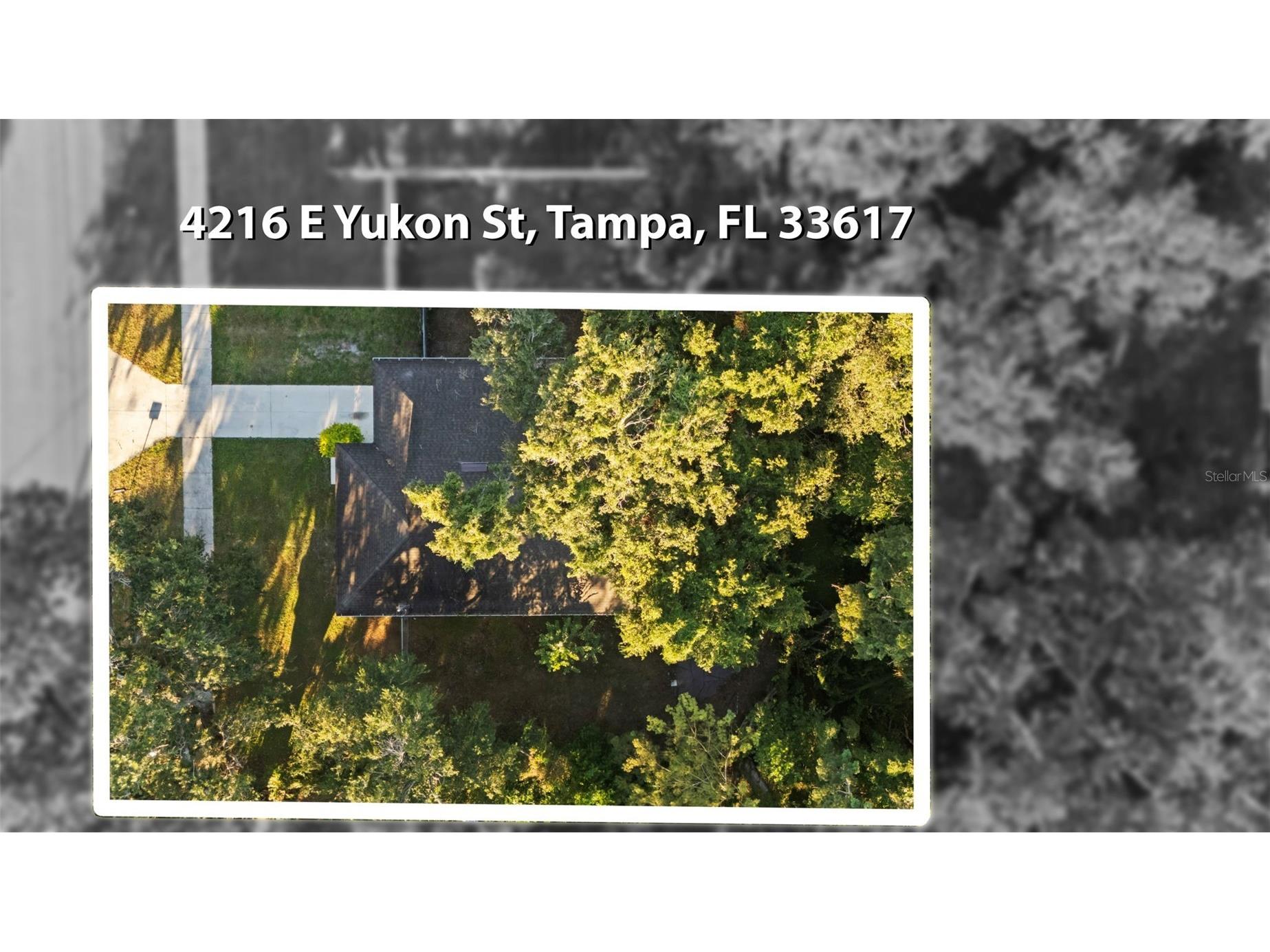 4216 E Yukon Street Tampa FL 33617 TB8437996 image25