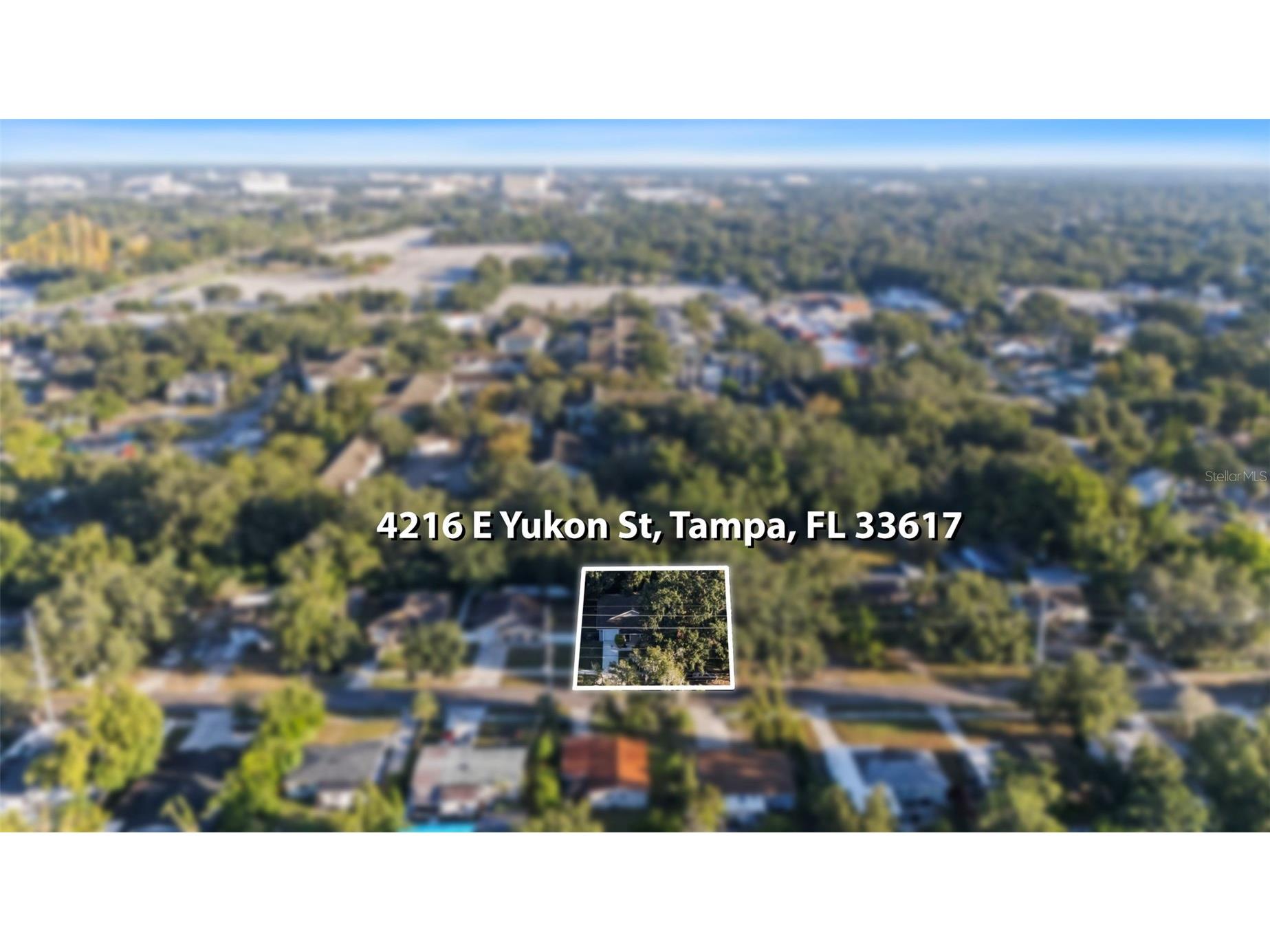 4216 E Yukon Street Tampa FL 33617 TB8437996 image28