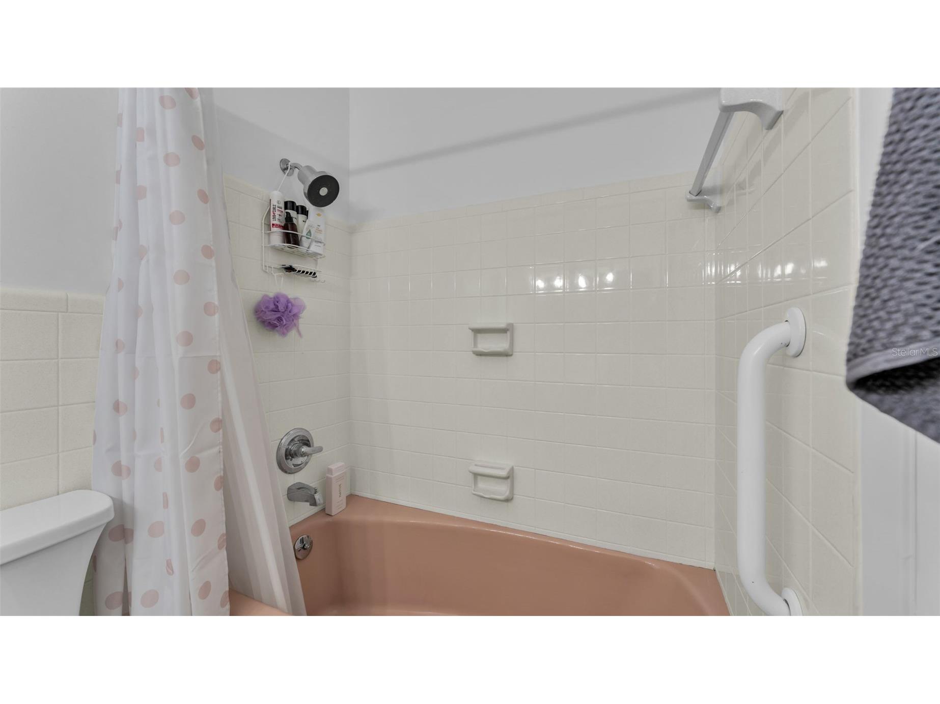 4216 Forest Hills Drive Lakeland FL 33813 L4961534 image27