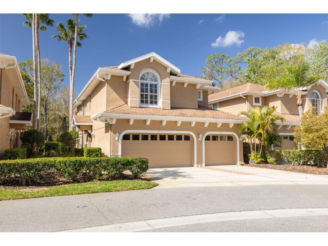 4216 Preserve Place Palm Harbor FL 34685 TB8357132 image1