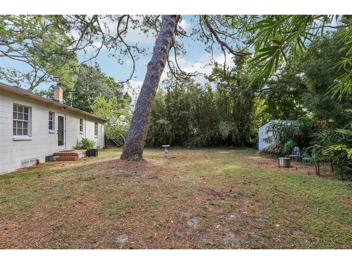 4216 W Euclid Avenue Tampa FL 33629 TB8441995 image22