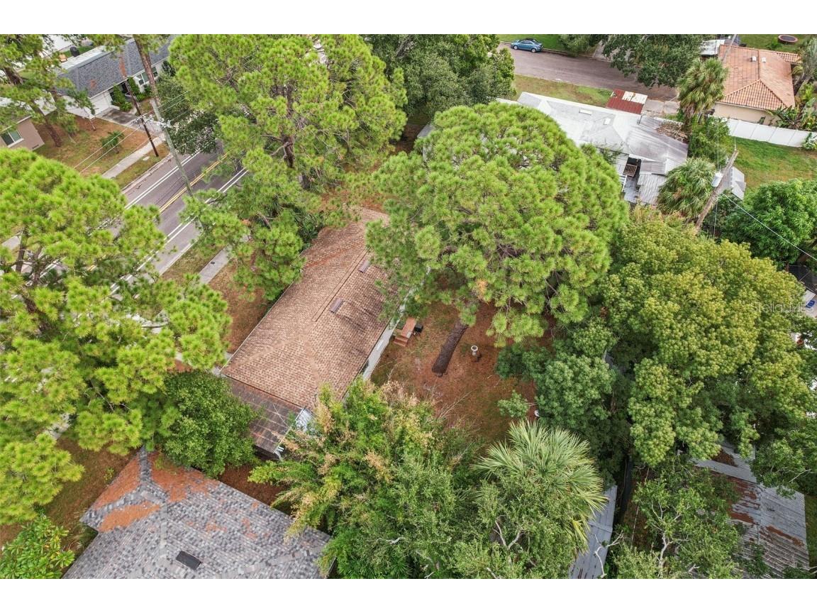 4216 W Euclid Avenue Tampa FL 33629 TB8441995 image26