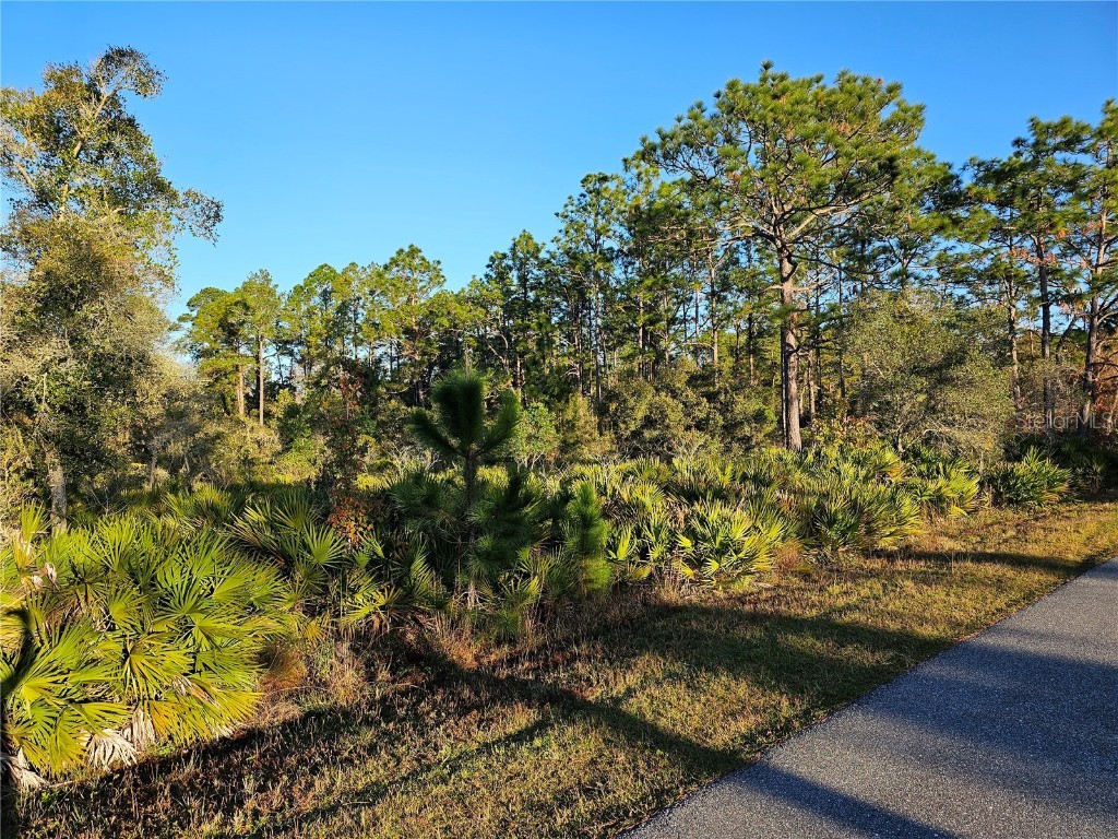 42169 Tamarac Street Eustis FL 32736 - LAKE NORRIS AND LAKE MARION G5076573 image1