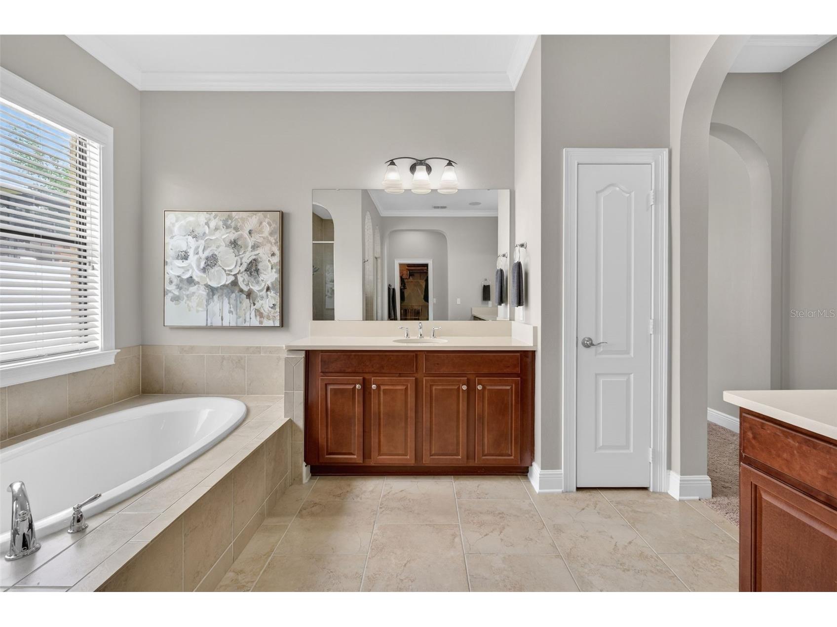 4217 Foxhound Drive Clermont FL 34711 O6396995 image47