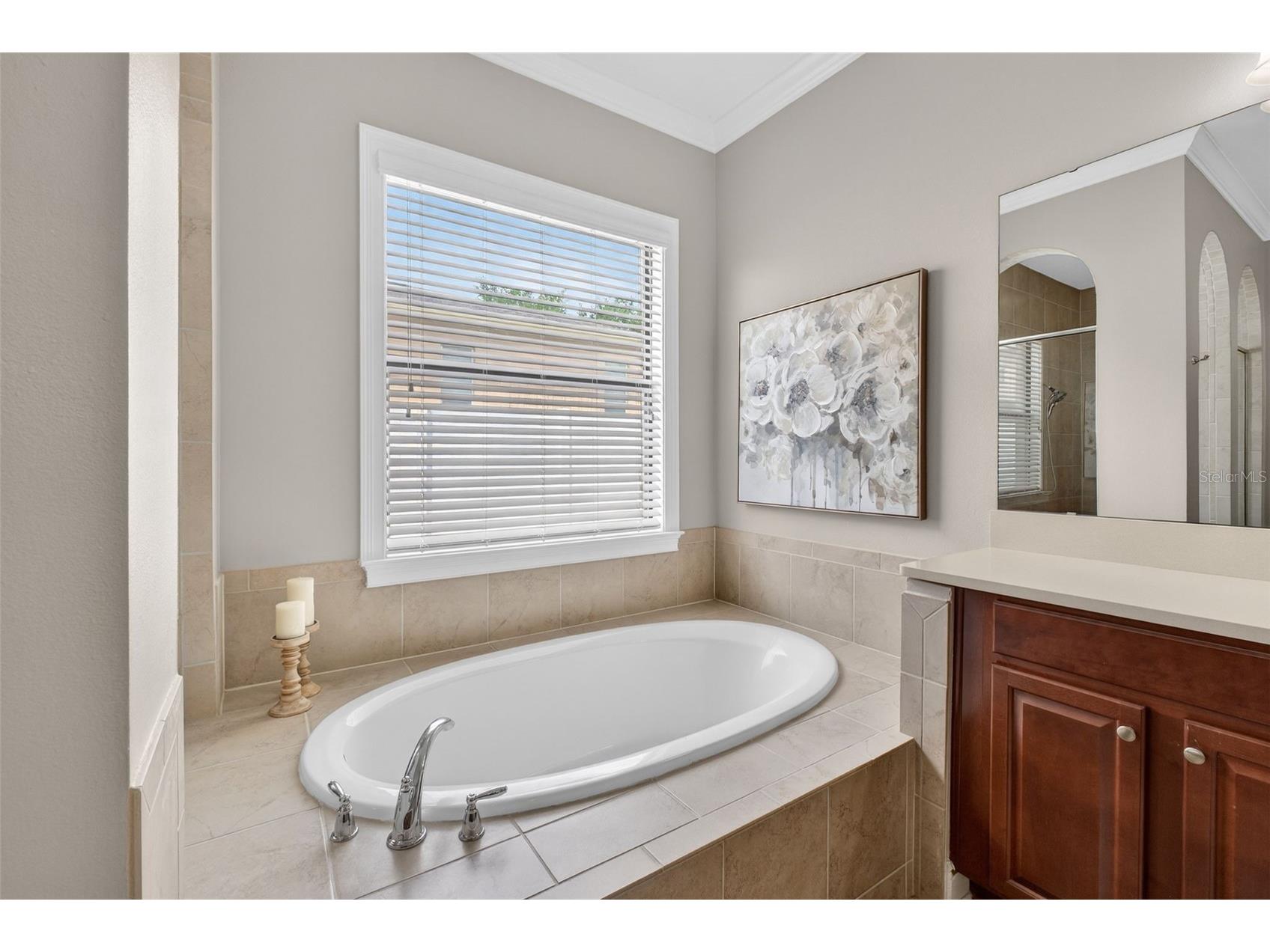 4217 Foxhound Drive Clermont FL 34711 O6396995 image49
