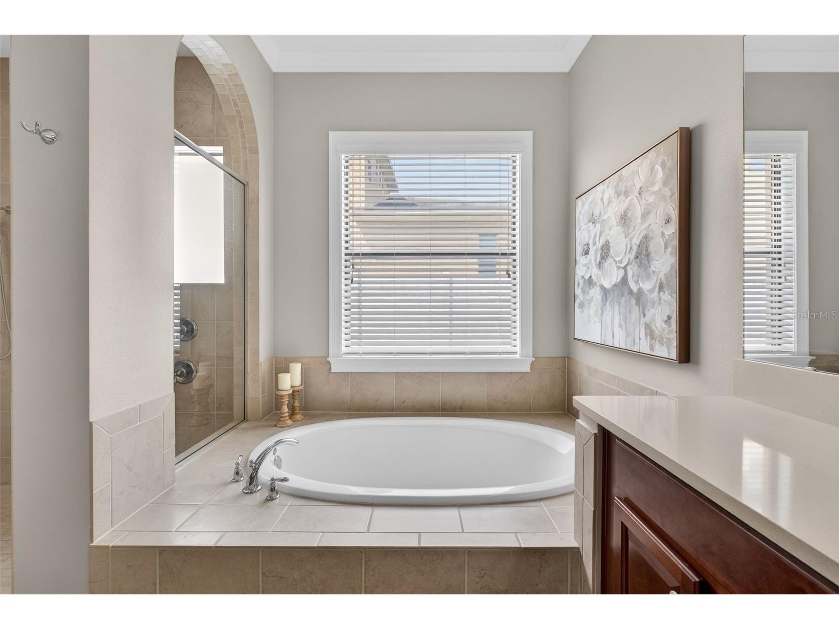 4217 Foxhound Drive Clermont FL 34711 O6396995 image50