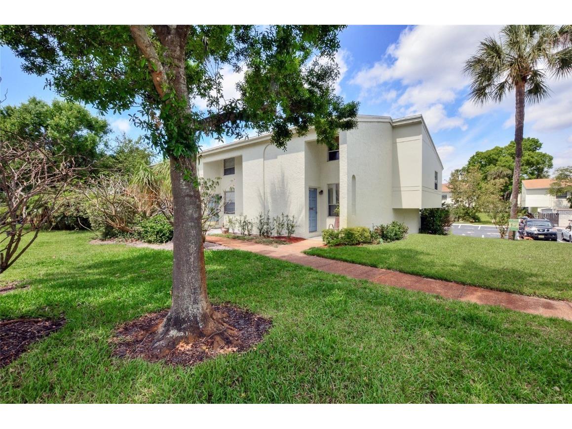 4217 La Palma Court Tampa FL 33611 T3432584 image1