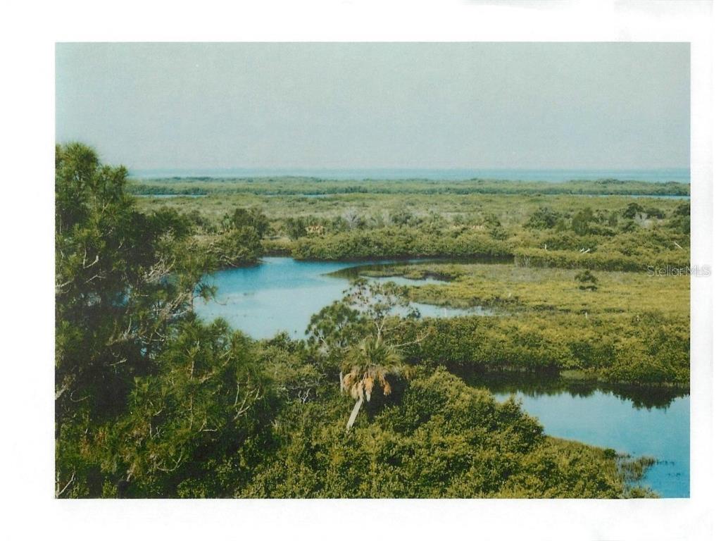 4218 Rudder Way New Port Richey FL 34652 TB8410215 image4