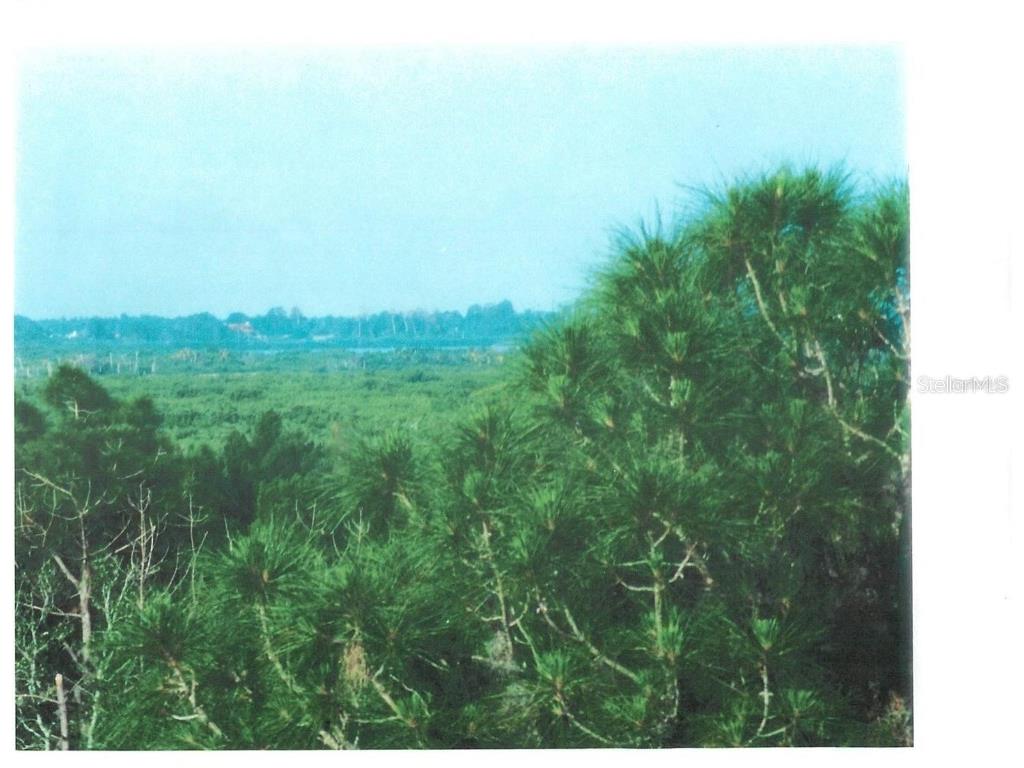 4218 Rudder Way New Port Richey FL 34652 TB8410215 image6