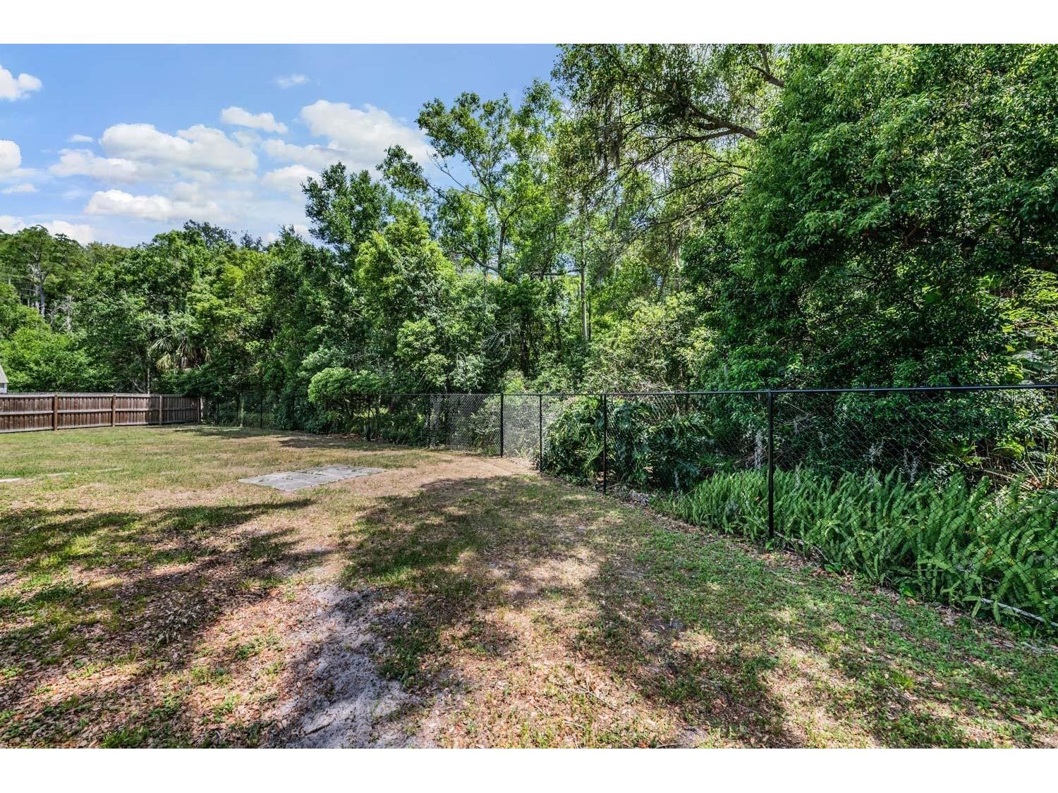 4218 Summerdale Drive Tampa FL 33624 TB8502463 image41