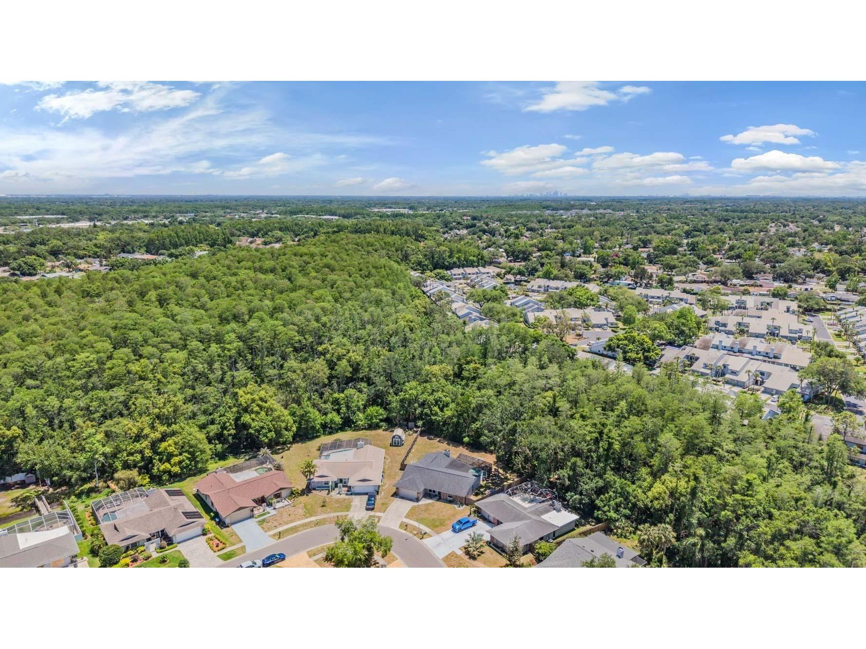 4218 Summerdale Drive Tampa FL 33624 TB8502463 image45