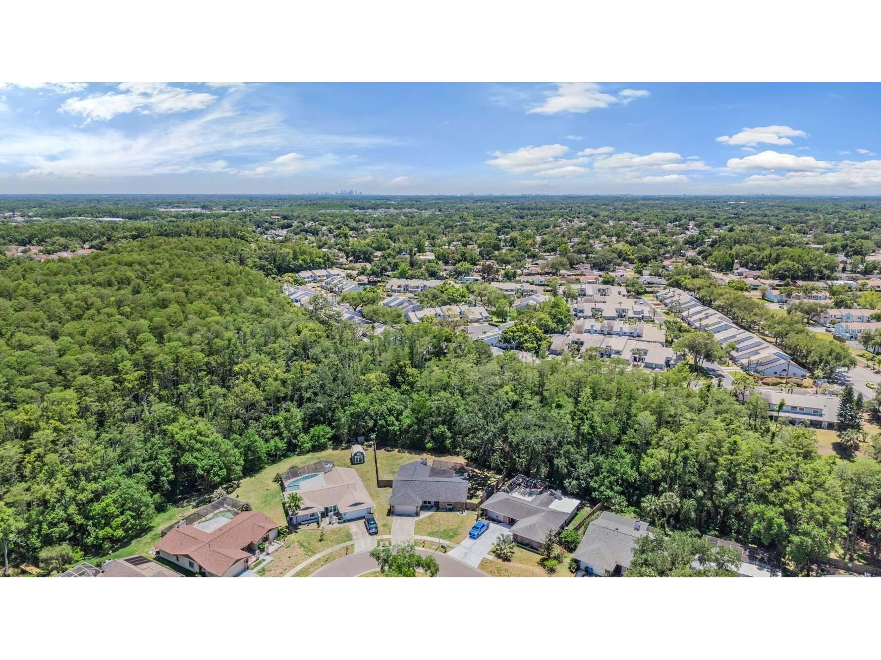 4218 Summerdale Drive Tampa FL 33624 TB8502463 image47