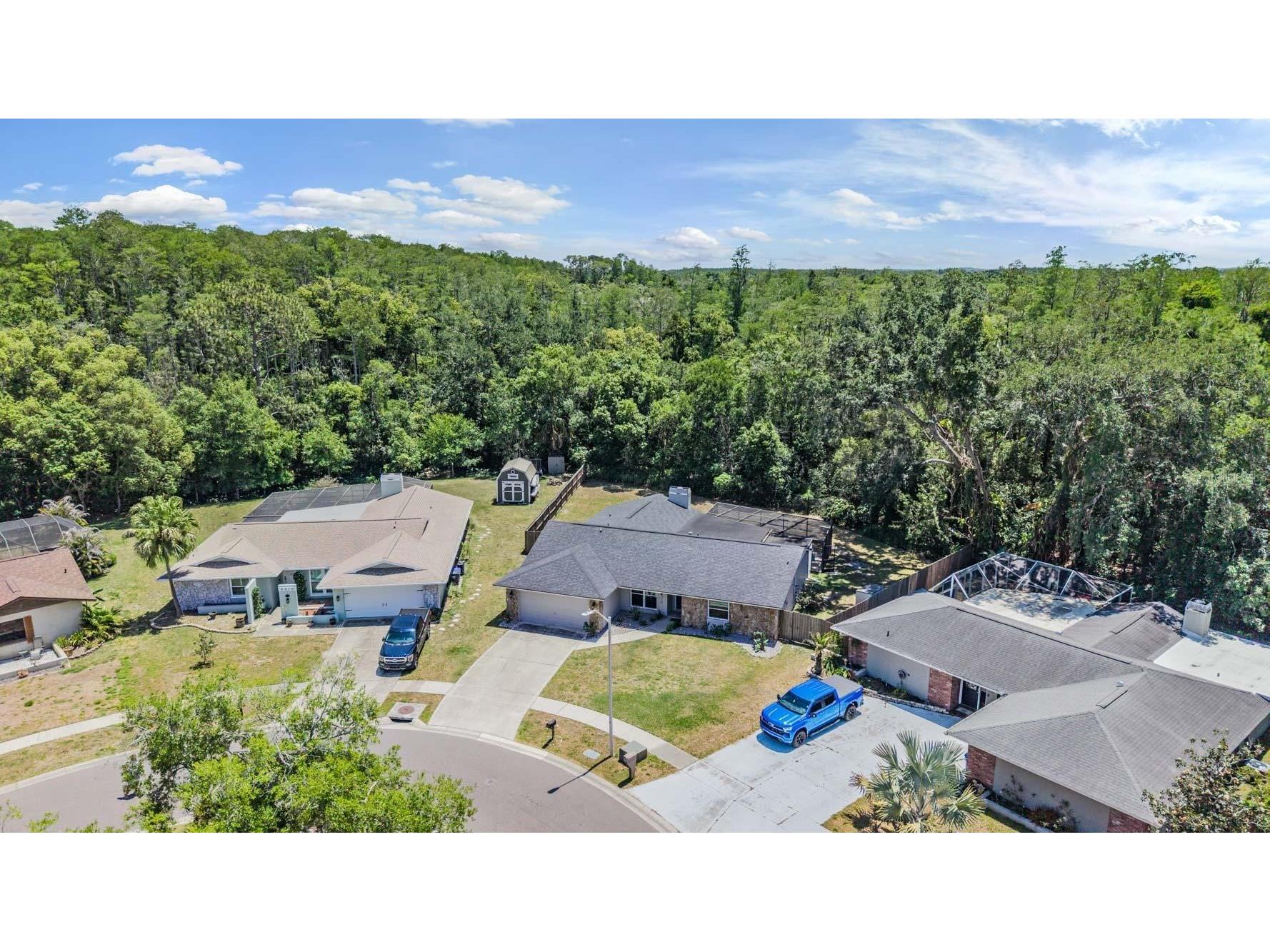 4218 Summerdale Drive Tampa FL 33624 TB8502463 image48