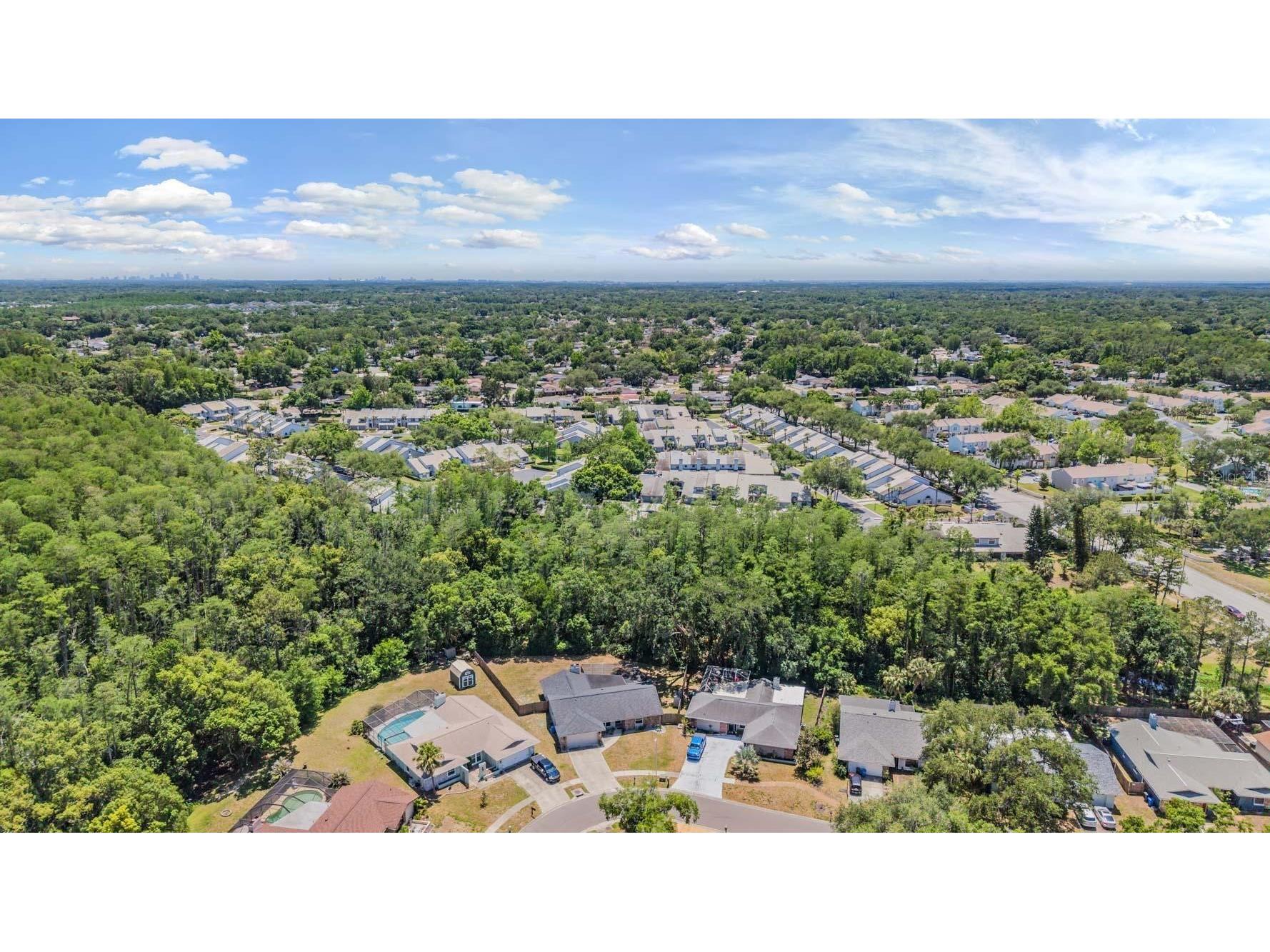 4218 Summerdale Drive Tampa FL 33624 TB8502463 image50