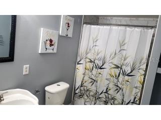4219 5th Avenue N Saint Petersburg FL 33713 TB8532325 image7
