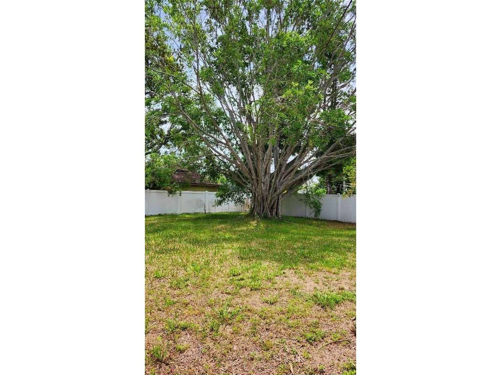 4219 Des Moines Street NE Saint Petersburg FL 33703 TB8452176 image18