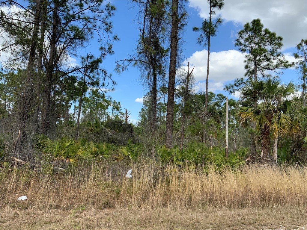 4219 E 30th Street Alva FL 33920 A4563640 image5