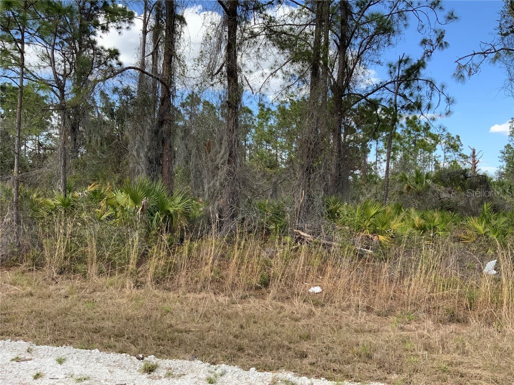 4219 E 30th Street Alva FL 33920 A4563640 image6