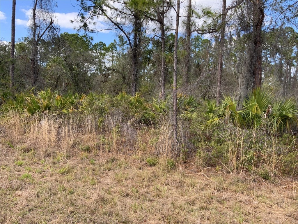 4219 E 30th Street Alva FL 33920 A4563640 image7