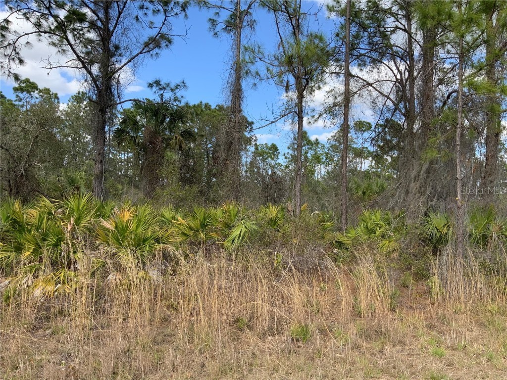 4219 E 30th Street Alva FL 33920 A4563640 image8