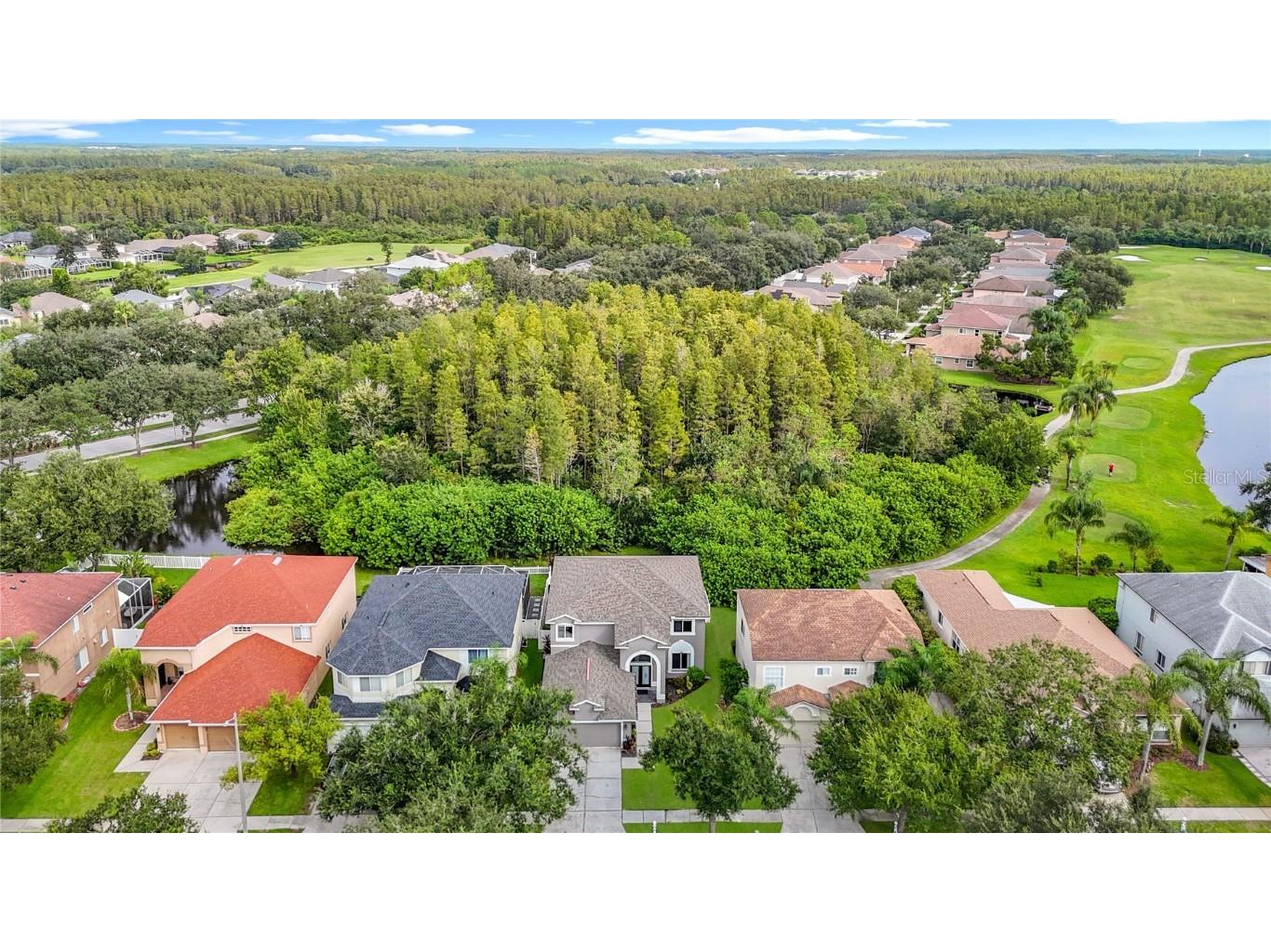 4219 Harbor Lake Drive Lutz FL 33558 TB8426083 image2