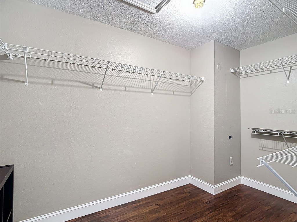 4219 Harbor Lake Drive Lutz FL 33558 TB8426083 image53