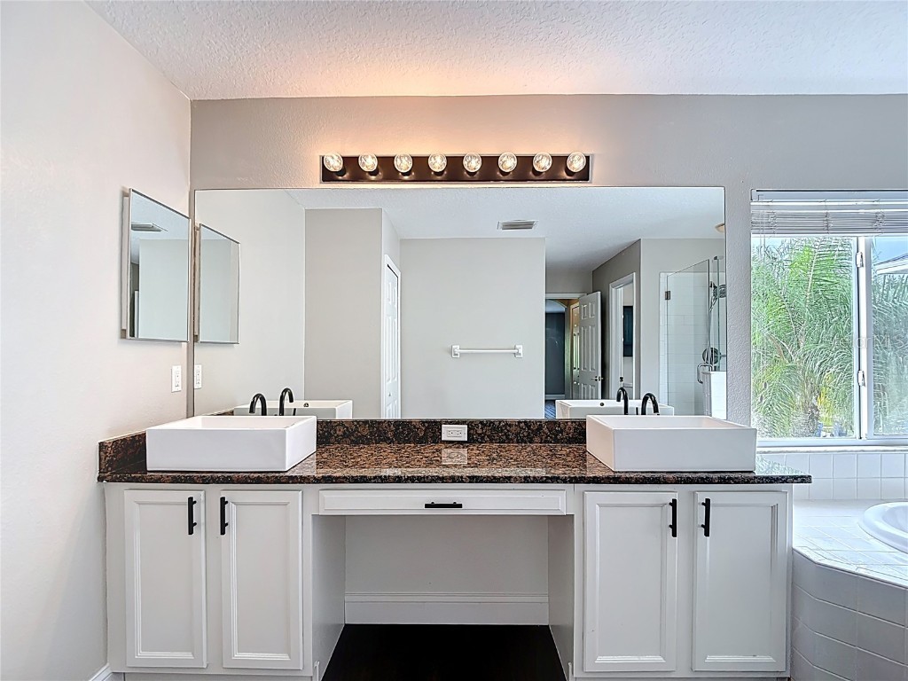 4219 Harbor Lake Drive Lutz FL 33558 TB8426083 image56