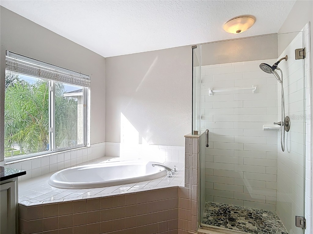 4219 Harbor Lake Drive Lutz FL 33558 TB8426083 image57