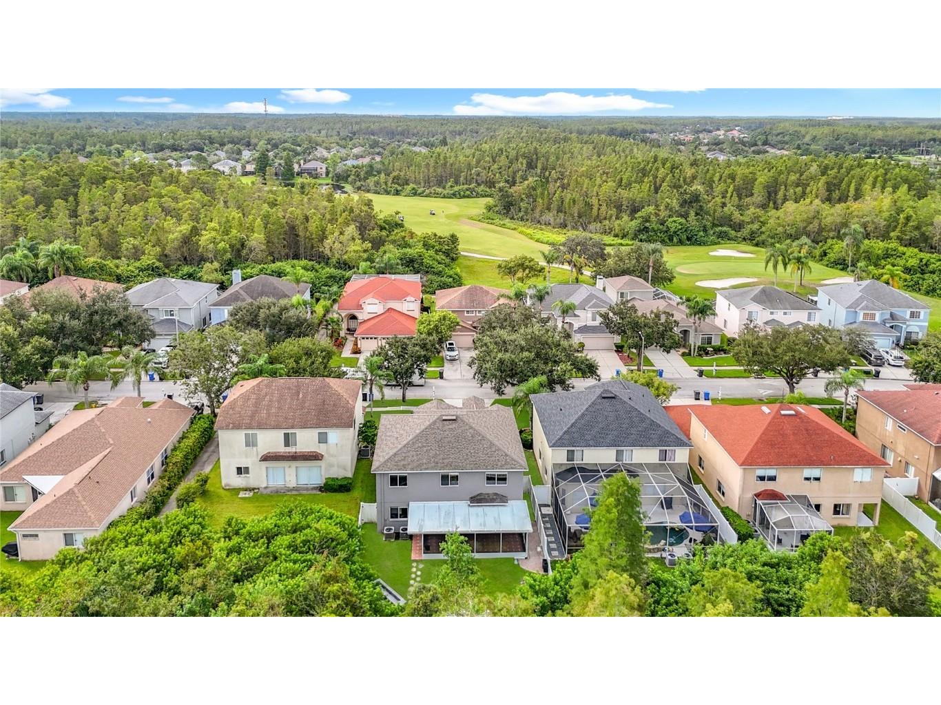 4219 Harbor Lake Drive Lutz FL 33558 TB8426083 image76