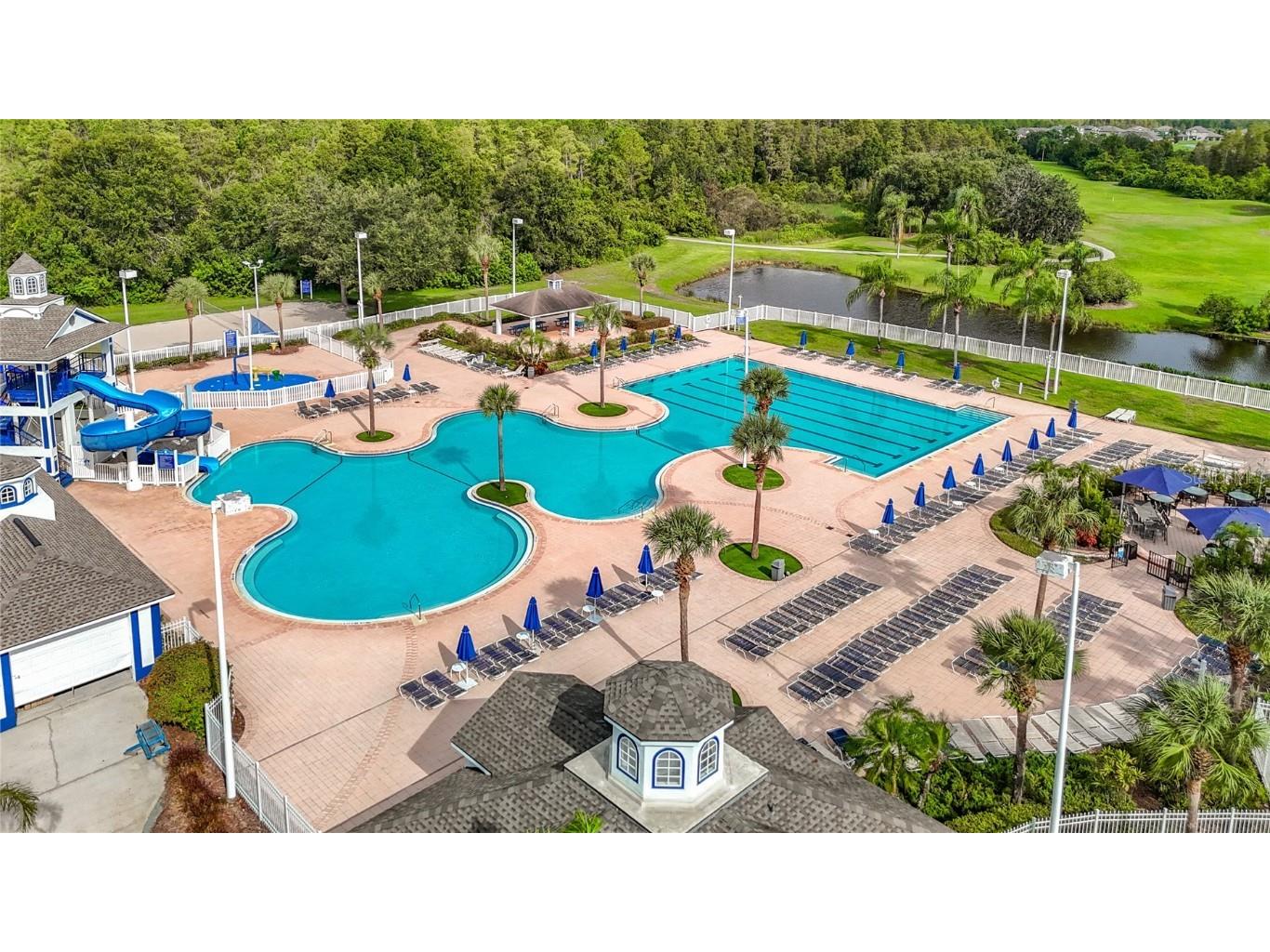 4219 Harbor Lake Drive Lutz FL 33558 TB8426083 image79