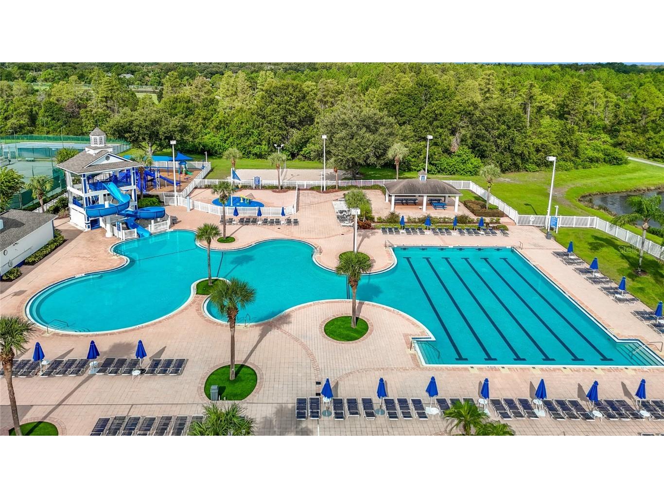 4219 Harbor Lake Drive Lutz FL 33558 TB8426083 image80