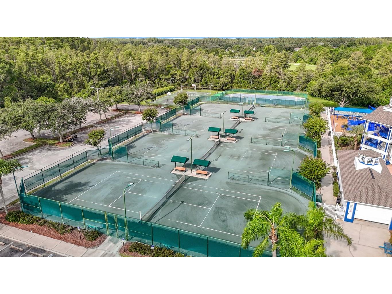 4219 Harbor Lake Drive Lutz FL 33558 TB8426083 image83