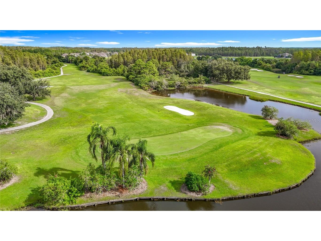 4219 Harbor Lake Drive Lutz FL 33558 TB8426083 image86