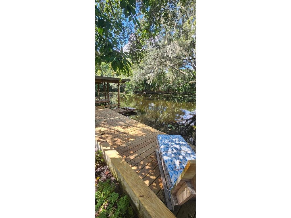 4219 Magnolia Avenue Leesburg FL 34748 - CANAL TO LAKE HARRIS O6348295 image43