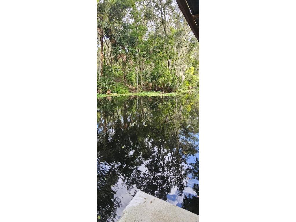 4219 Magnolia Avenue Leesburg FL 34748 - CANAL TO LAKE HARRIS O6348295 image47