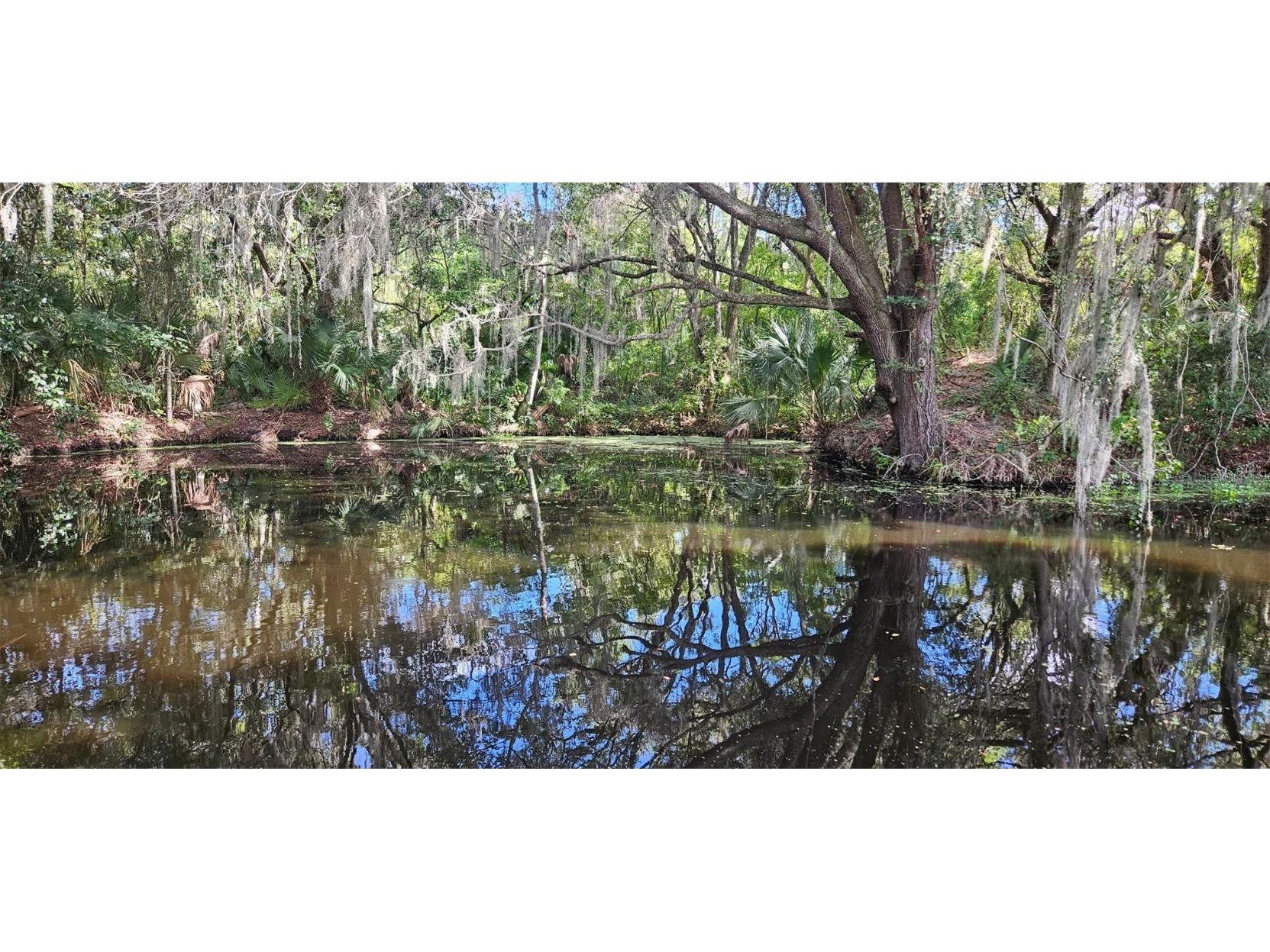 4219 Magnolia Avenue Leesburg FL 34748 - CANAL TO LAKE HARRIS O6348295 image49