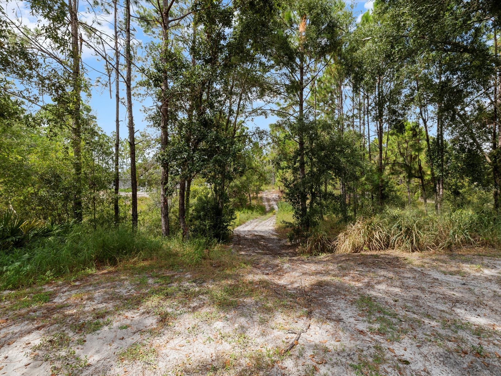 4219 Surfside Circle Spring Hill FL 34606 W7879375 image55