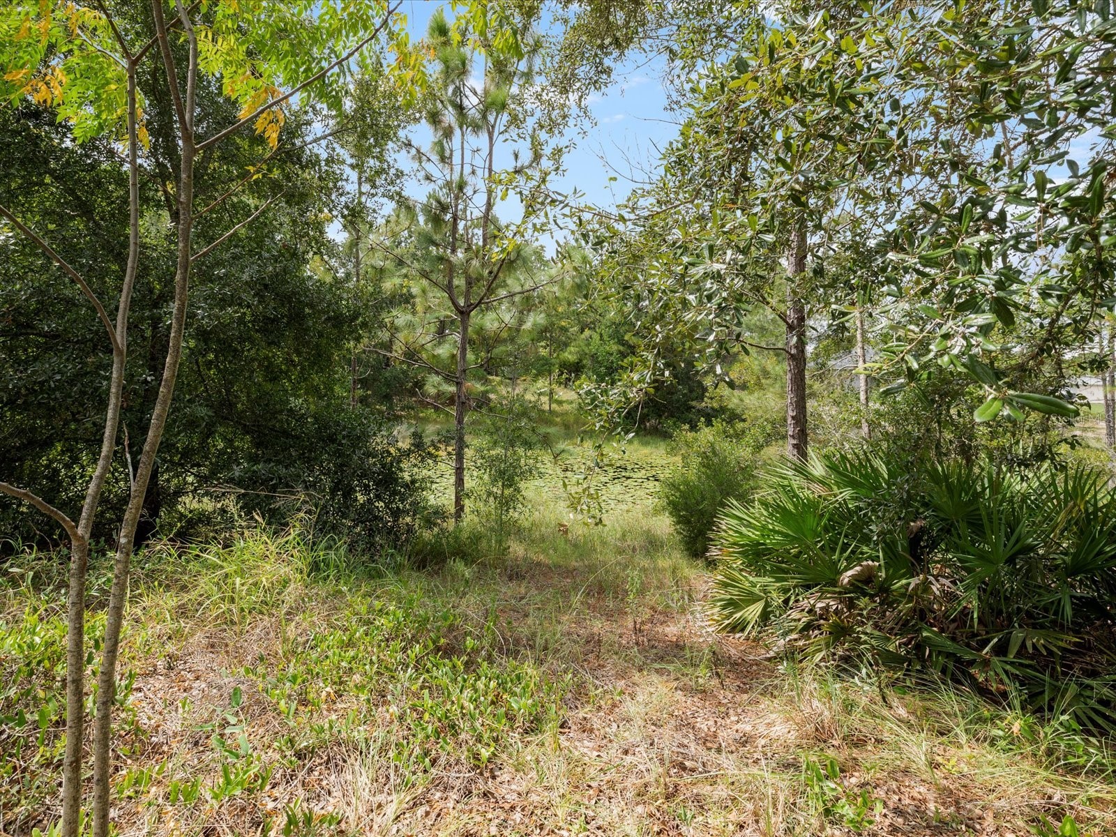 4219 Surfside Circle Spring Hill FL 34606 W7879375 image56