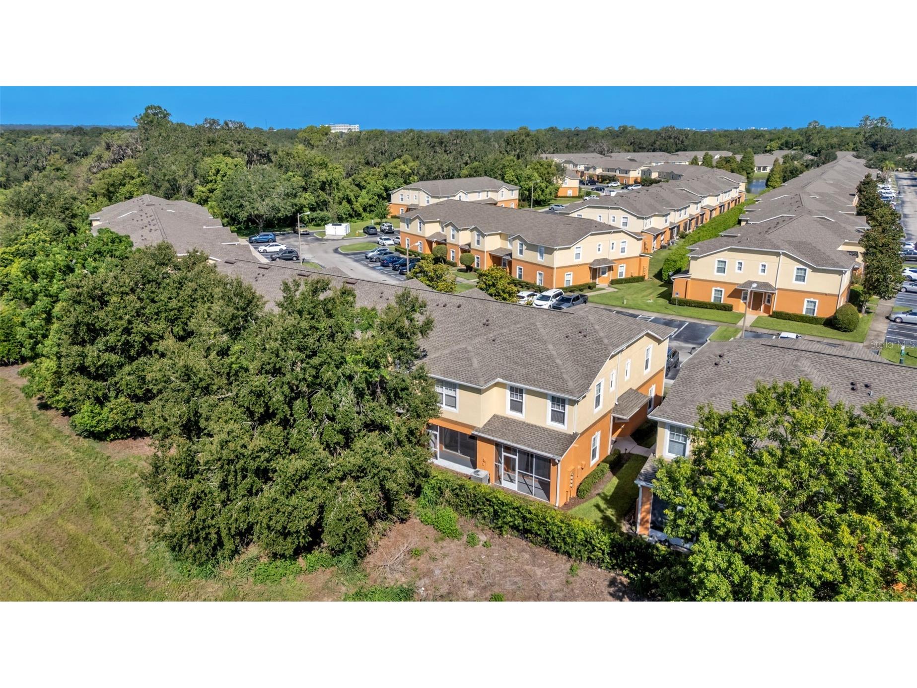 4219 Winding Vine Drive Lakeland FL 33812 L4955530 image32