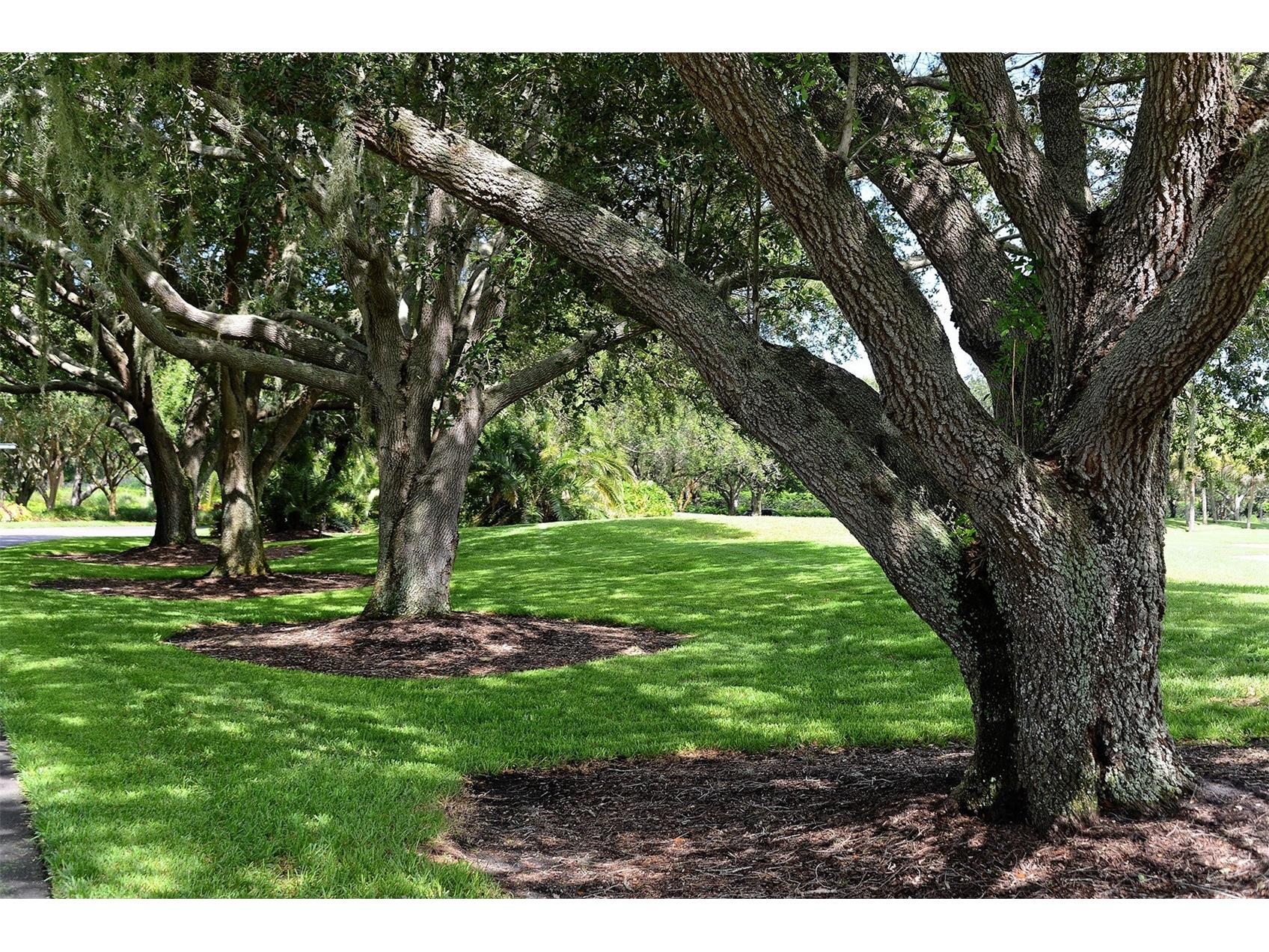 422 Blue Garden Lane Osprey FL 34229 A4664436 image94