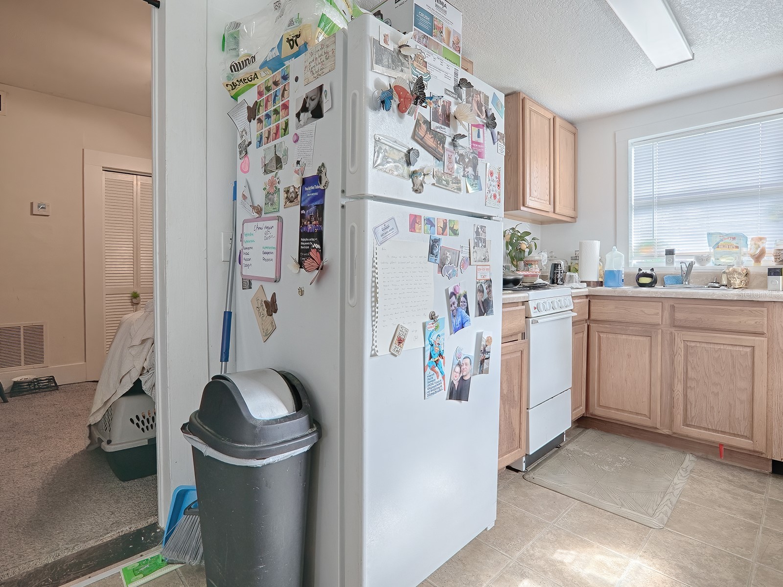 422 E Citrus Avenue Eustis FL 32726 G5108016 image7