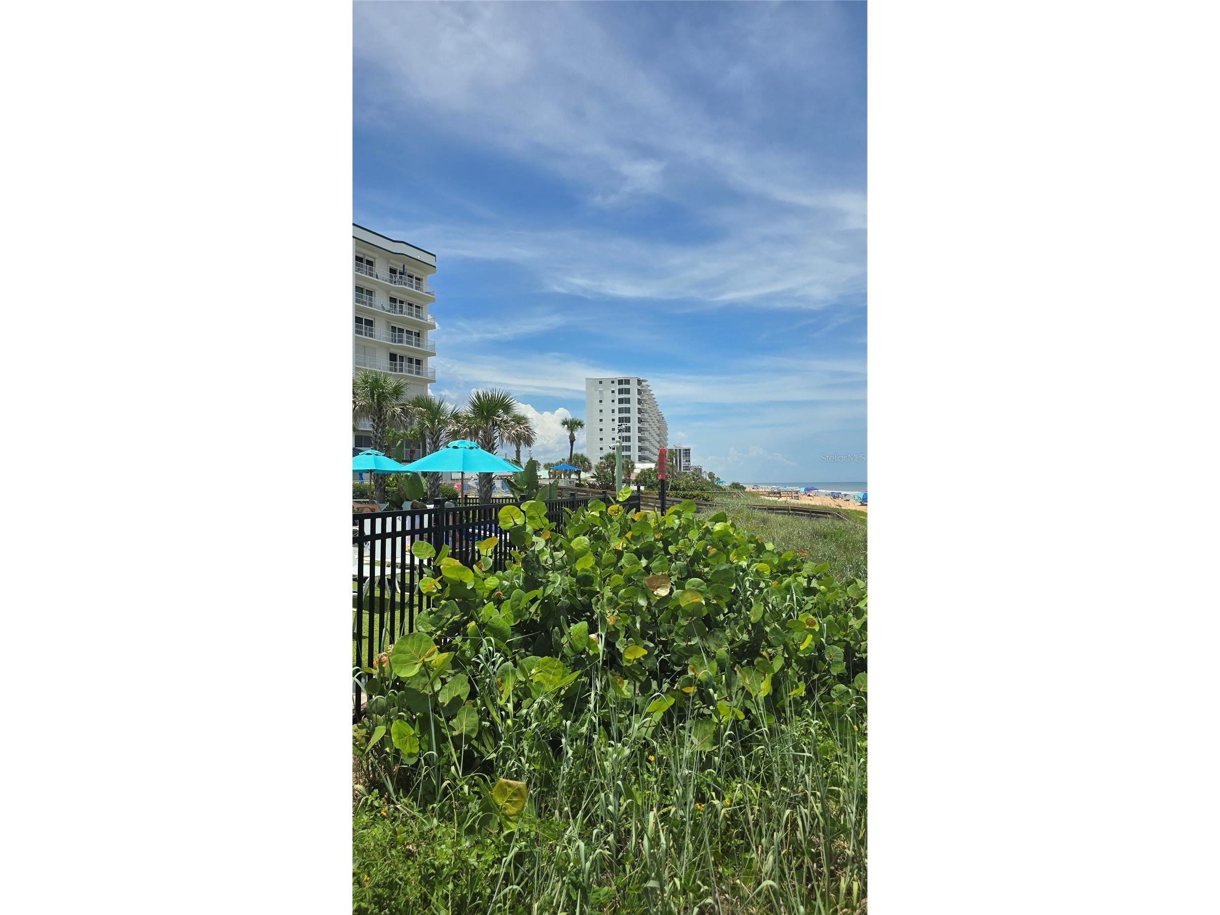 422 Good Life Way Daytona Beach FL 32124 V4943508 image64