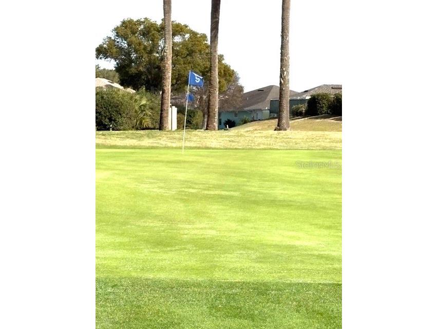 422 Harbourview Drive Haines City FL 33844 P4937616 image33