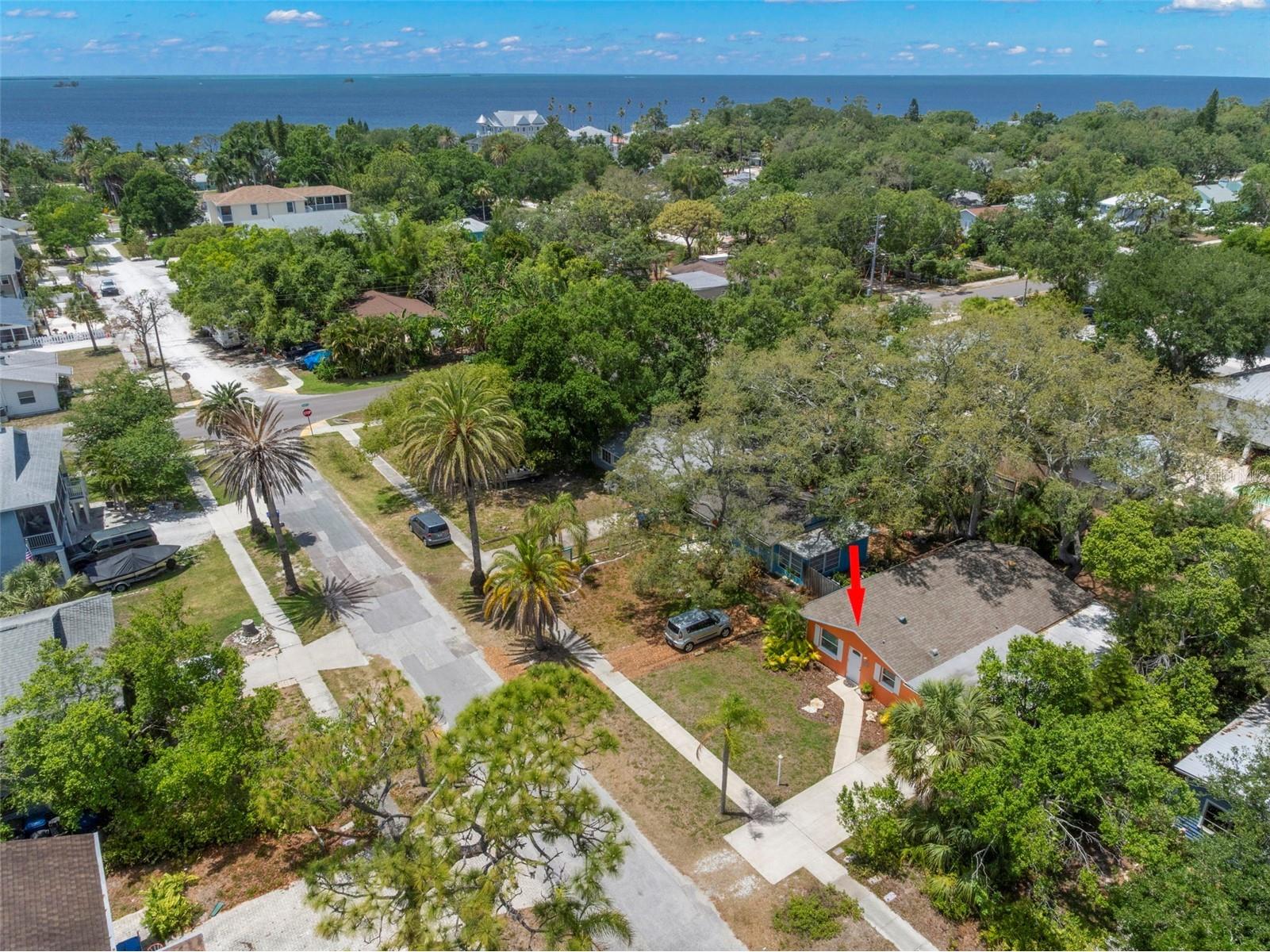 422 Kentucky Avenue Crystal Beach FL 34681 TB8504816 image27