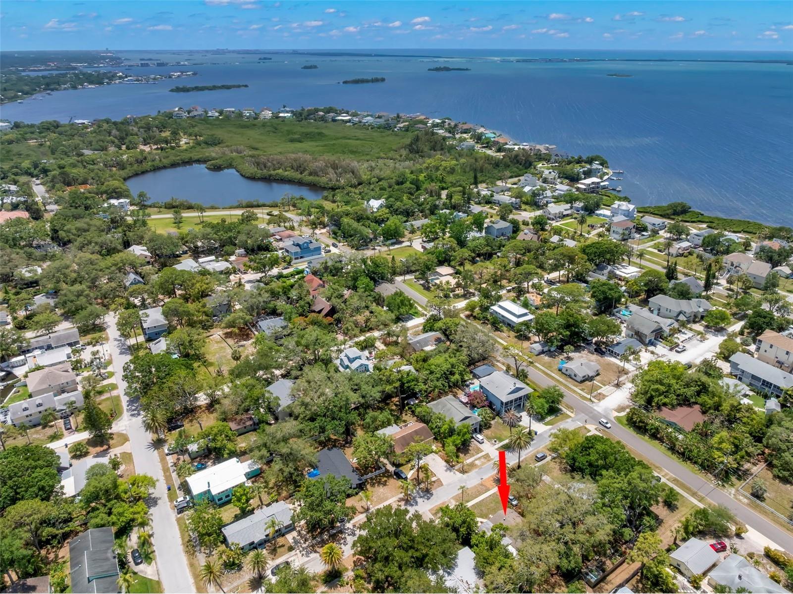 422 Kentucky Avenue Crystal Beach FL 34681 TB8504816 image32