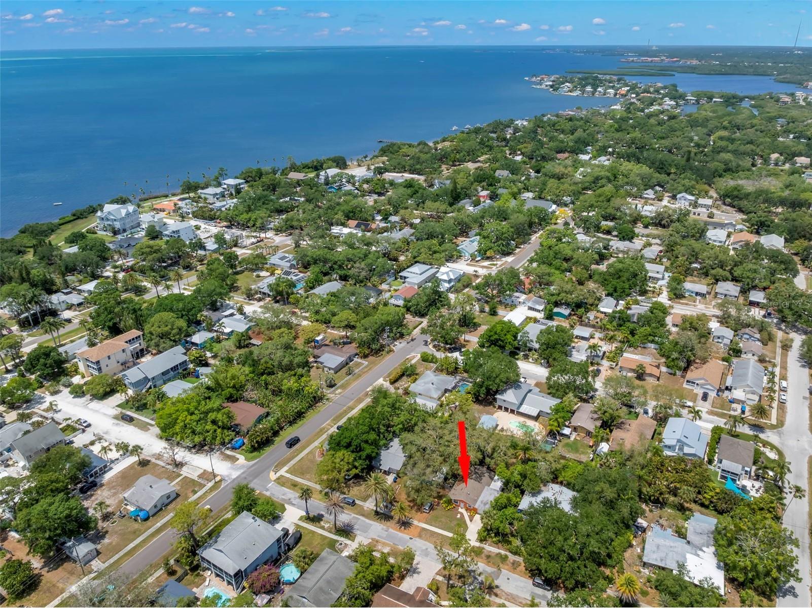 422 Kentucky Avenue Crystal Beach FL 34681 TB8504816 image33